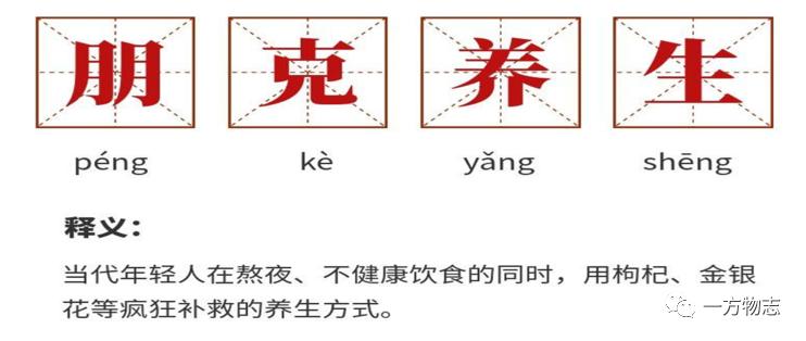 当代年轻人的朋克养生,年轻人的朋克养生完整版