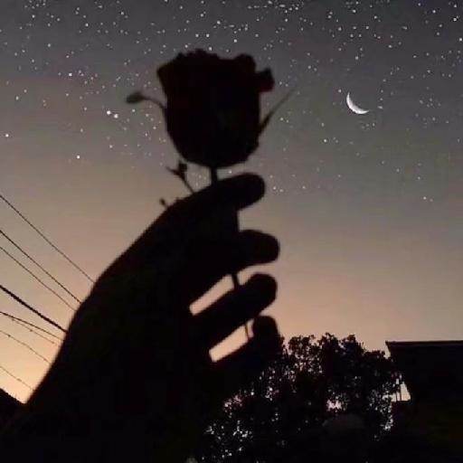 你别太得意小说全集,你别太得意英文