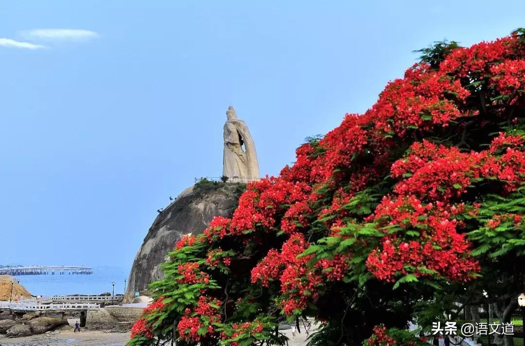 福建各县姓氏人口排名,福建姓氏排行榜快来看看你排第几