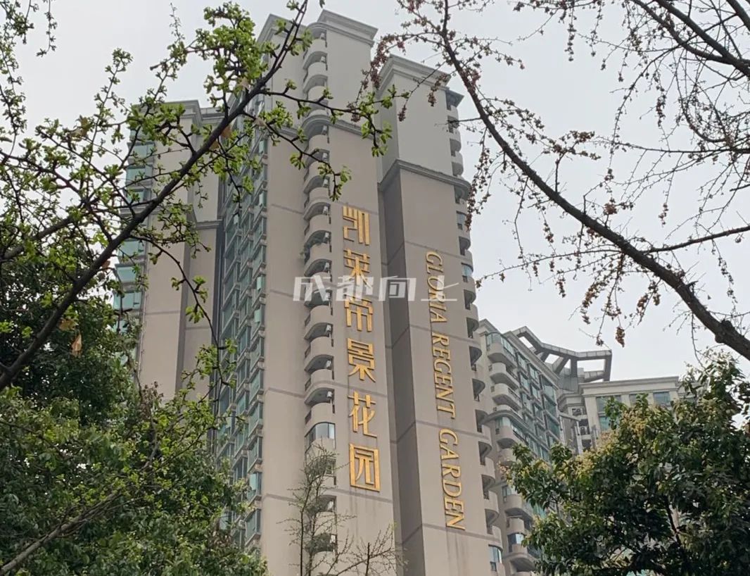 如何让成都变东京？网友：大LOGO收敛点