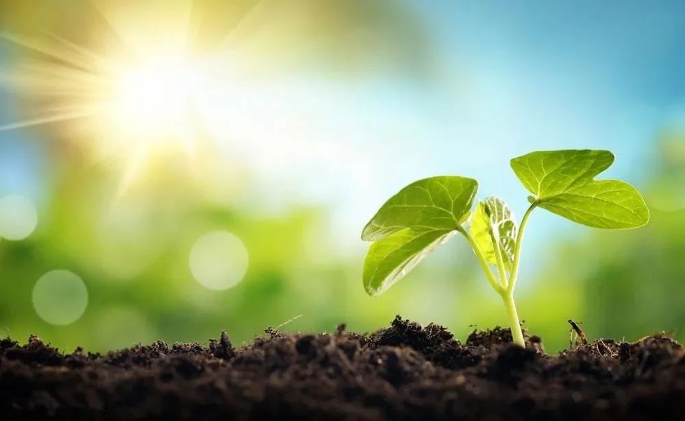 家境不好,17岁少女当起了“游戏客服”