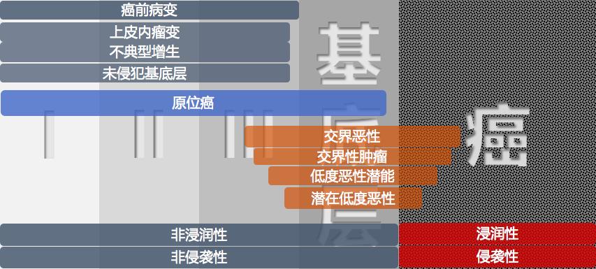 甲状腺癌买重疾险还是不赔,甲状腺癌重疾险最新政策