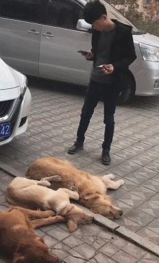 致敬项海王，股生PPT