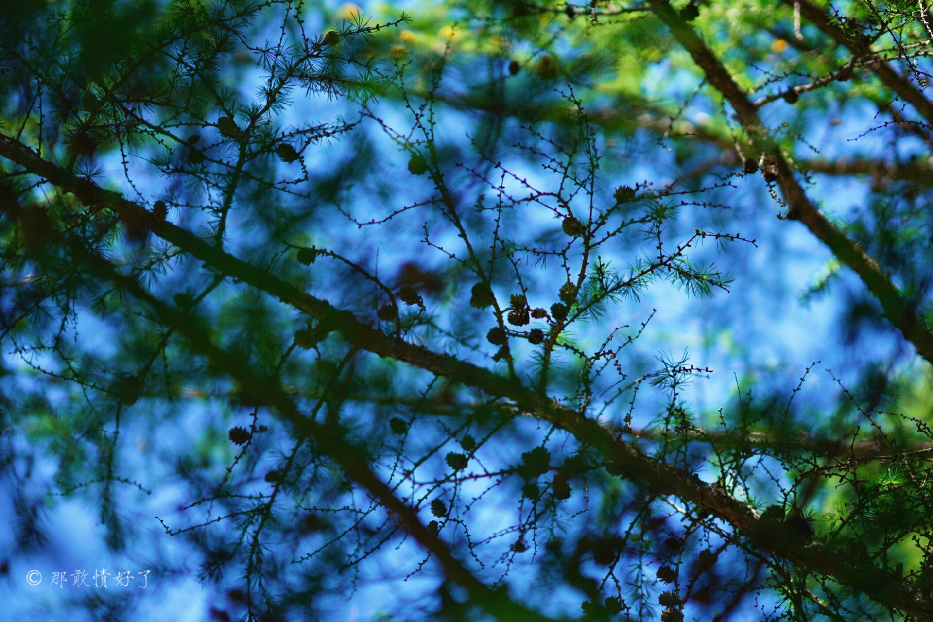 北京北部看红叶自驾线路推荐,冬季京西自驾游最佳线路