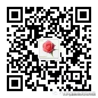 教师节送老师花还是送巧克力好,教师节送给老师的礼物怎么折花