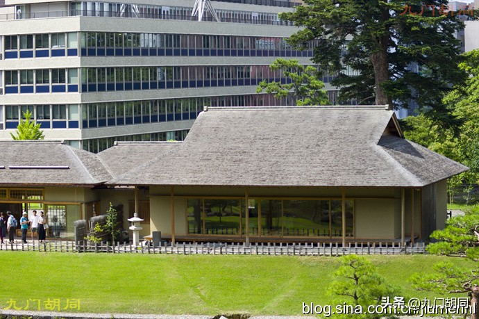 前田利家最新消息,前田利家和柴田胜家有什么关系