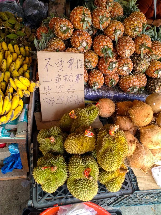 告庄西双景游玩多长时间,告庄西双景值得去吗