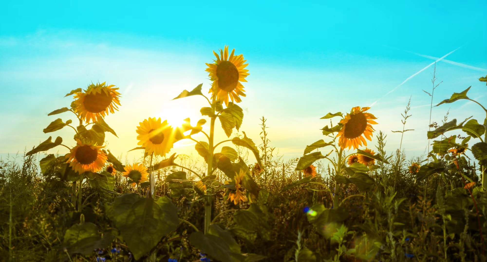 会计专业大学月薪多少,二本会计专业毕业后月薪多少