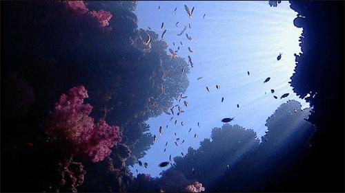 上厕所用经典词语怎么说,上厕所用英语说怎么说