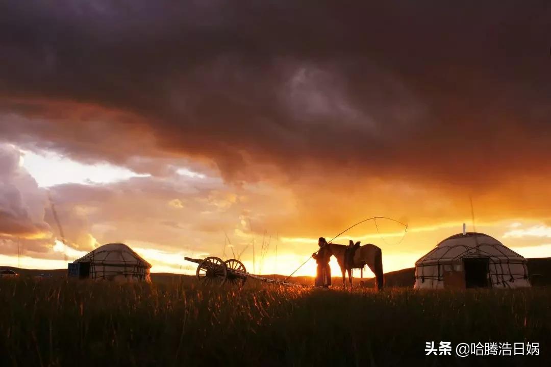 外国媒体列举蒙古人的14个实据