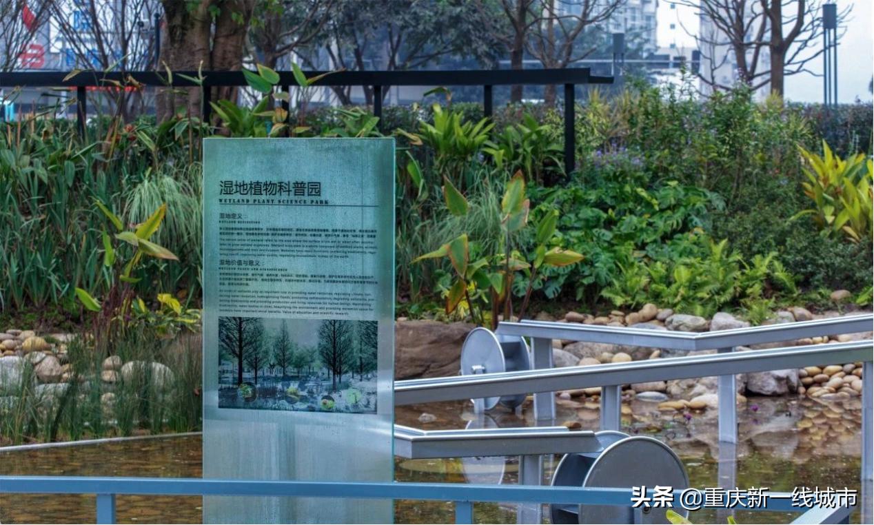 世界之旅重庆,世界之旅全文图片