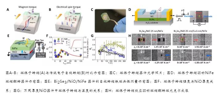 重大消息!大连理工大学突破“芯片”瓶颈,成果登上世界顶级期刊《科学》!