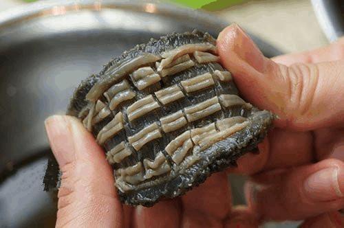 十八种海参做法吃出不一样的健康,颜颐坊海参的做法视频