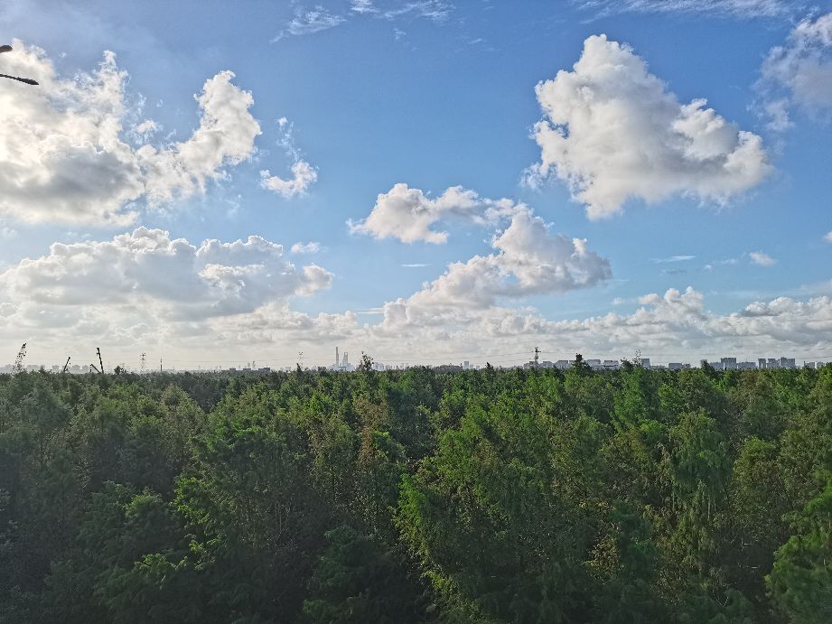 魔都上海?打工人的噩梦,欲望之城