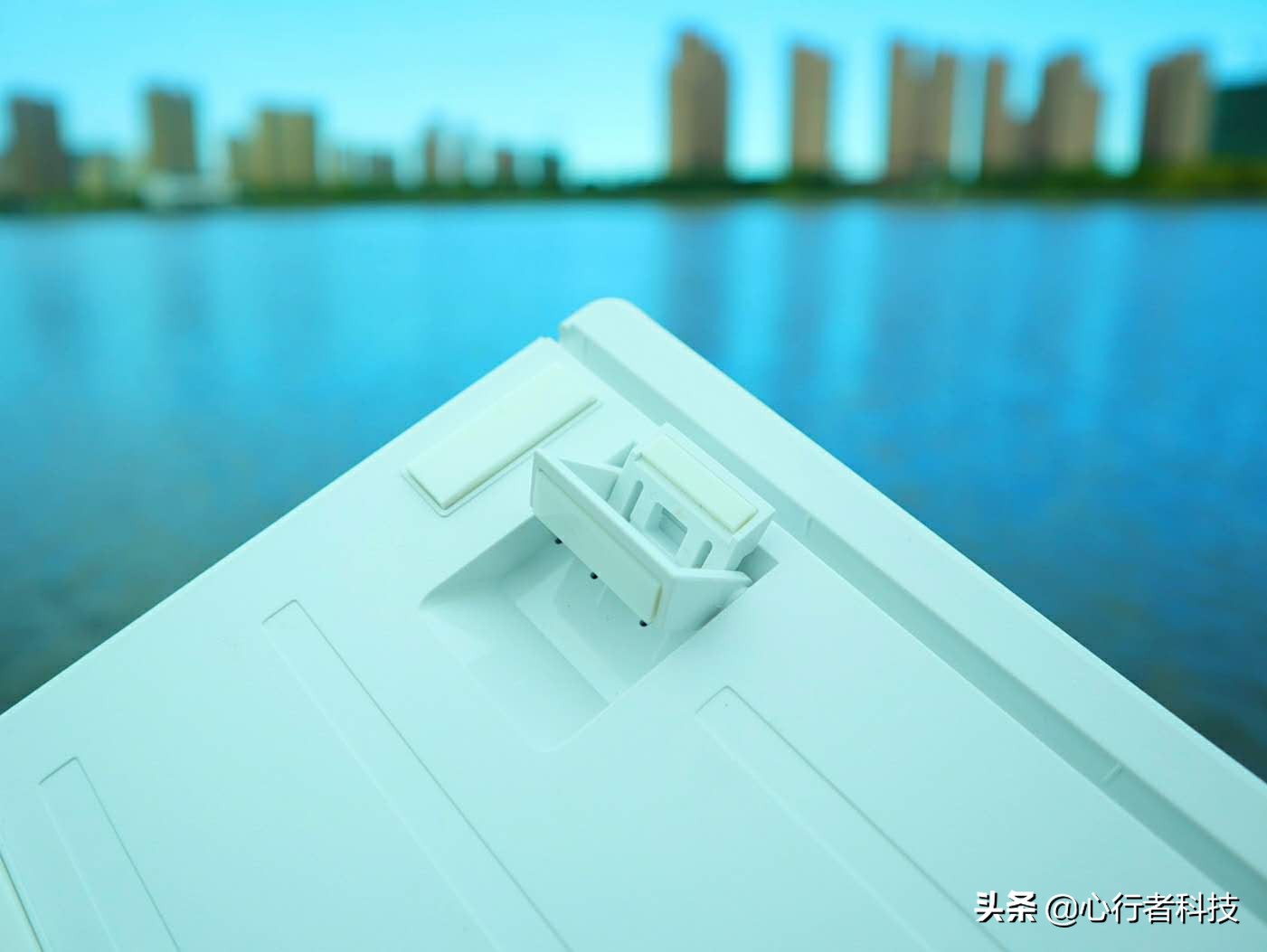 蜻蜓点水立指尖——黑爵蜻蜓键茶轴体验