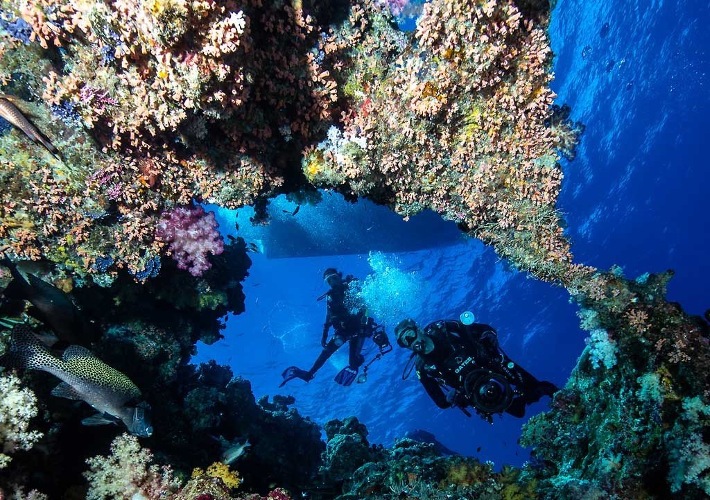 比马尔代夫更高级的岛屿,太平洋海岛帕劳旅游攻略