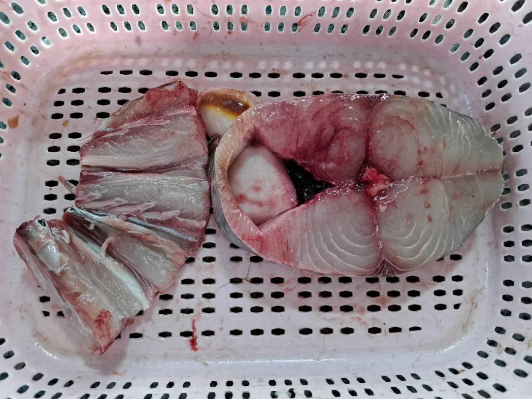 开海季都有什么海鲜,开海了这些生猛海鲜