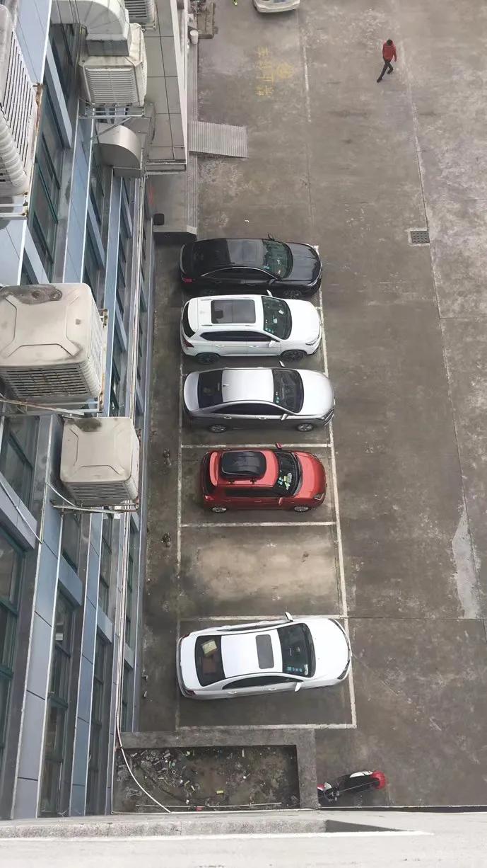 新一代铃木雨燕,雨燕铃木二手车