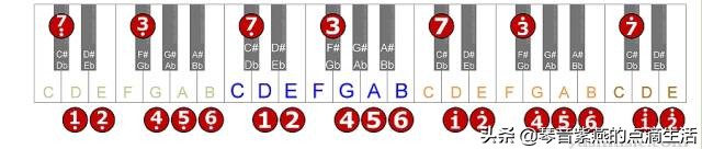 电子琴母亲0基础指法,学习电子琴音阶指法