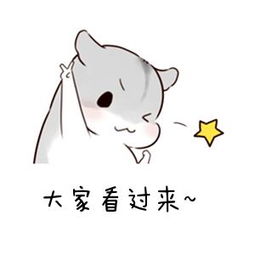 上海公交线路调整最新信息,上海明天有变化的公交线路