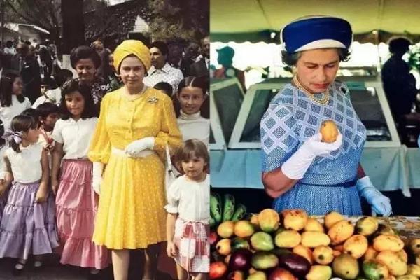 英国女王穿什么衣服最好看,英国女王的衣服为啥都是五颜六色