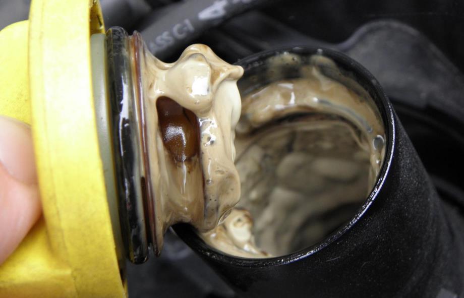 阿玛尼only抽样不符，本田福特也来凑热闹，你们这是肿么了