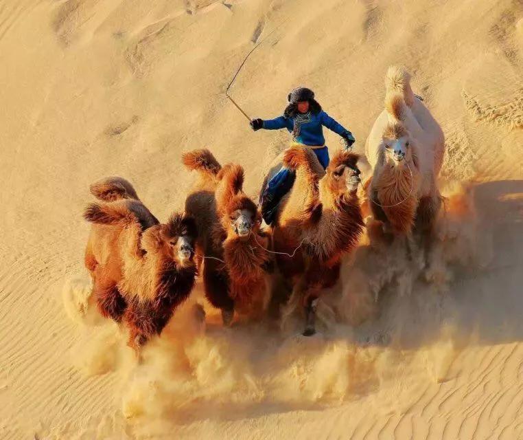 敖包相会的地方背面完整版,敖包相会的地方在通辽