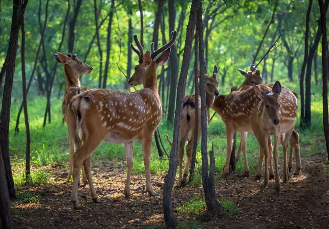 2021古滇星光跨年音乐嘉年华,昆明跨年古滇七彩云南欢乐世界
