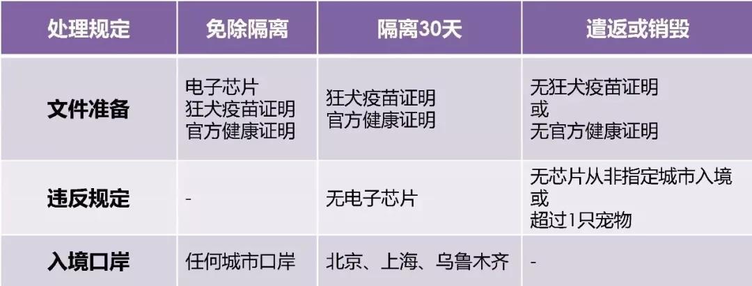 夏天如何带宠物上飞机回国,有哪些地方可以带宠物回国