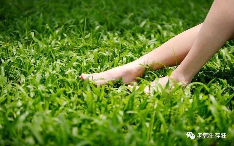 沙漠求生取水技巧,生存狂逃生技巧