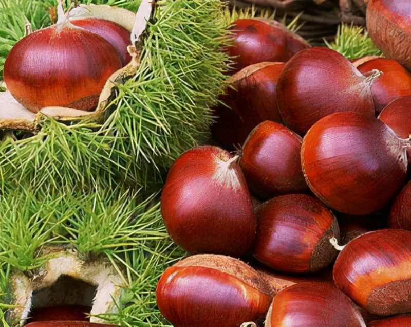 商洛景区当地小吃特产,商洛山阳县十大特产