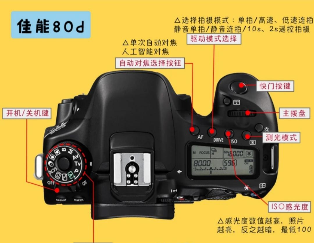 单反相机摄影技巧及讲解,佳能单反相机入门教程5d2摄影教程