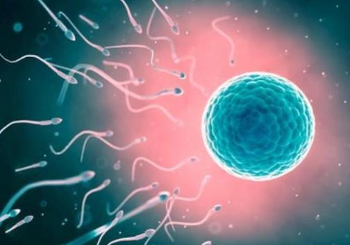 精子能在女人体内存活多久时间？无论是备孕还是避孕，早知早受益