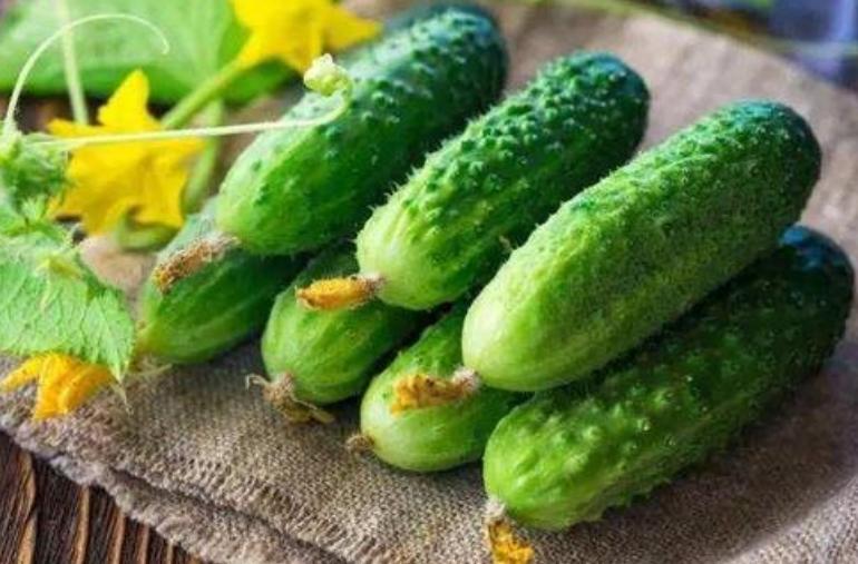 天热了黄瓜主要预防什么病虫害,黄瓜栽植后病虫害的防治方法