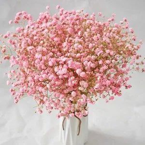 闺蜜送哪些色调的玫瑰较为好一点,什么颜色玫瑰适合送闺蜜