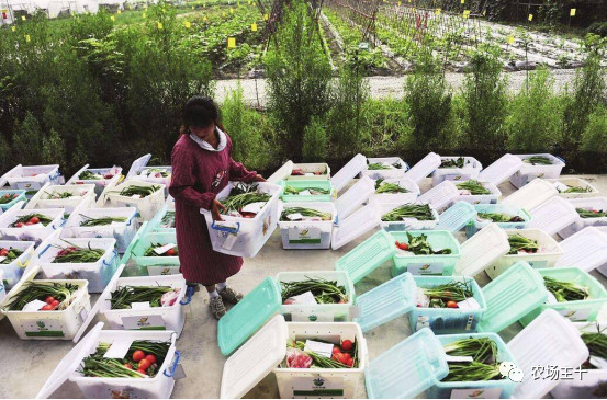 危机四伏！那个最早进场年入3000万的有机农场到底怎么了