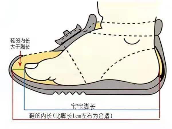 给宝宝选鞋少走弯路,怎么样挑选合适不压脚的鞋子