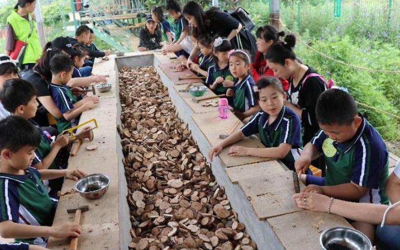 西安市雁塔区航天二一小学怎么样,西安市雁塔区航天二一小学