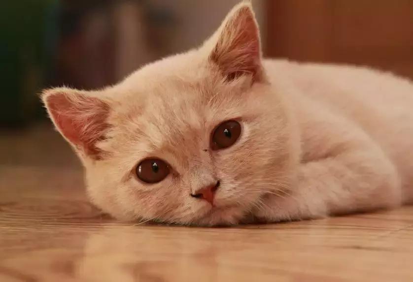 康师傅赚了多少亿,康师傅16年利润大增