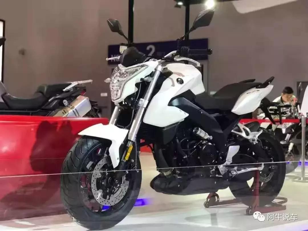 小丙评测隆鑫无极650ds,隆鑫无极拉力650ds详细参数表