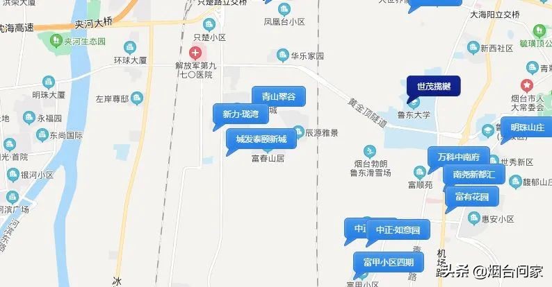 只楚万科城规划初中,万科城二期项目地址