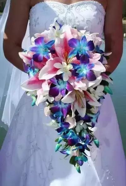 世界十大花卉排行榜名单,世界十大名贵花草