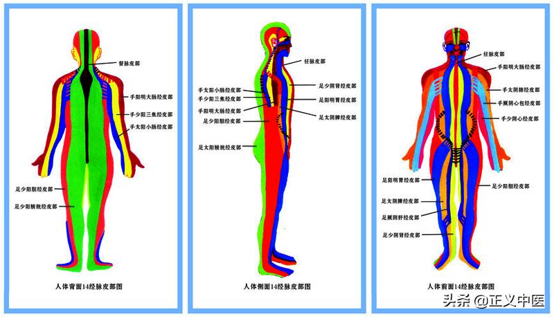 中医经筋对接视频教程,中医经络与筋脉区别