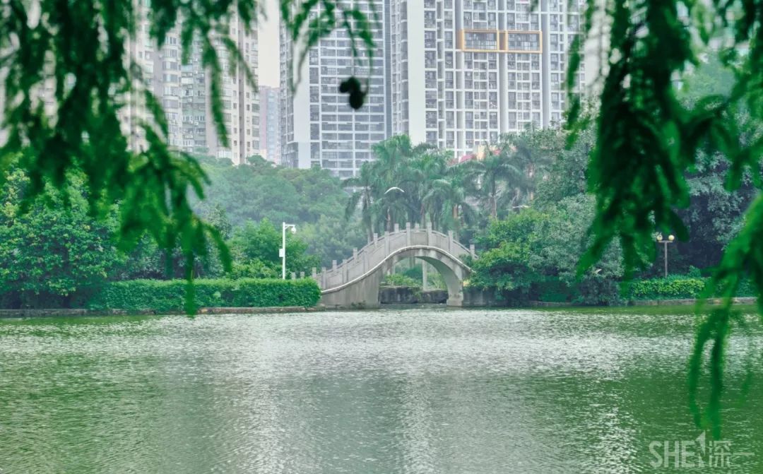 现在的蛇口,南头蛇口