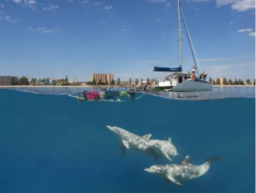 让黄晓明上瘾的南澳大利亚，到底有什么魔力？