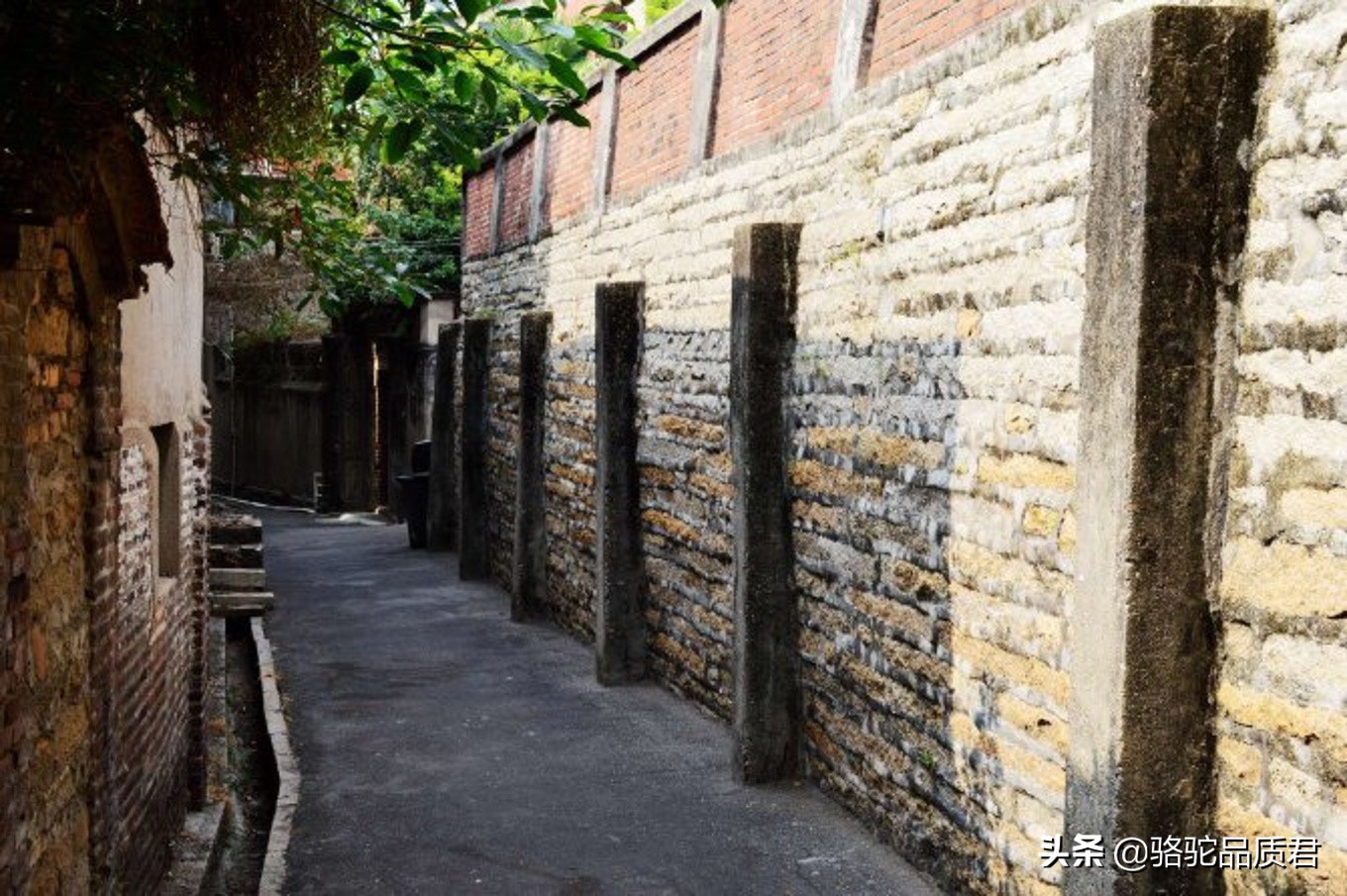 厦门海边之旅,厦门小众旅游体验