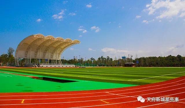 天府新区三大教育集团,天府新区五大教育集团