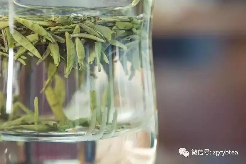 年年春茶你都在追，却从未真正喝懂绿茶？看完这个你就懂了！
