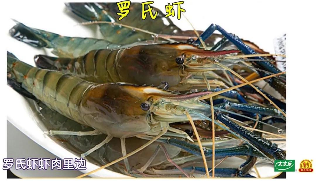 常见虾类口感特点附烹饪做法,虾怎么挑选有营养