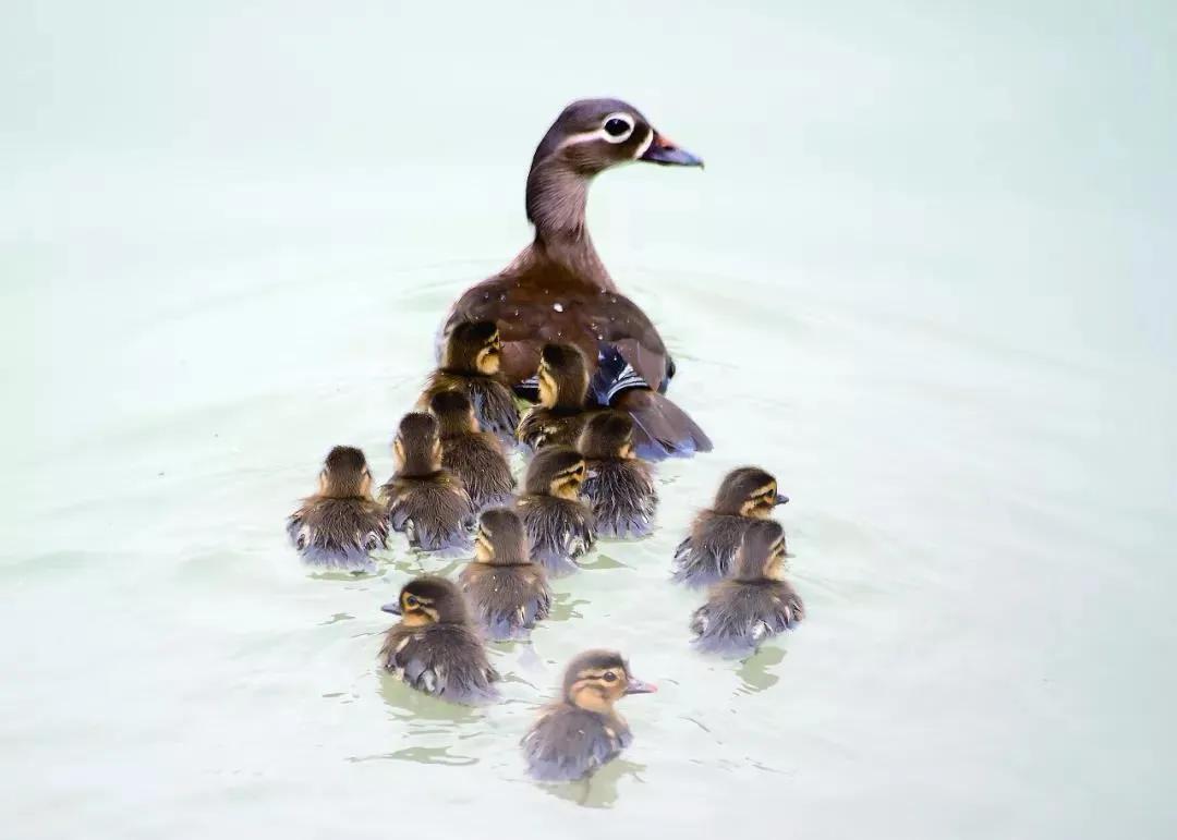 雅安这几天发生的车祸,这就是雅安原版